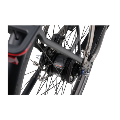 Veloci Solid Plus 2026