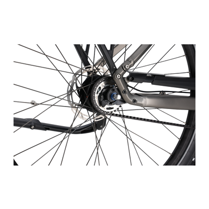 Veloci Solid Plus 2026