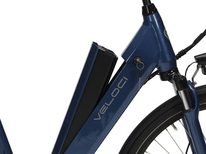 Vivid Plus